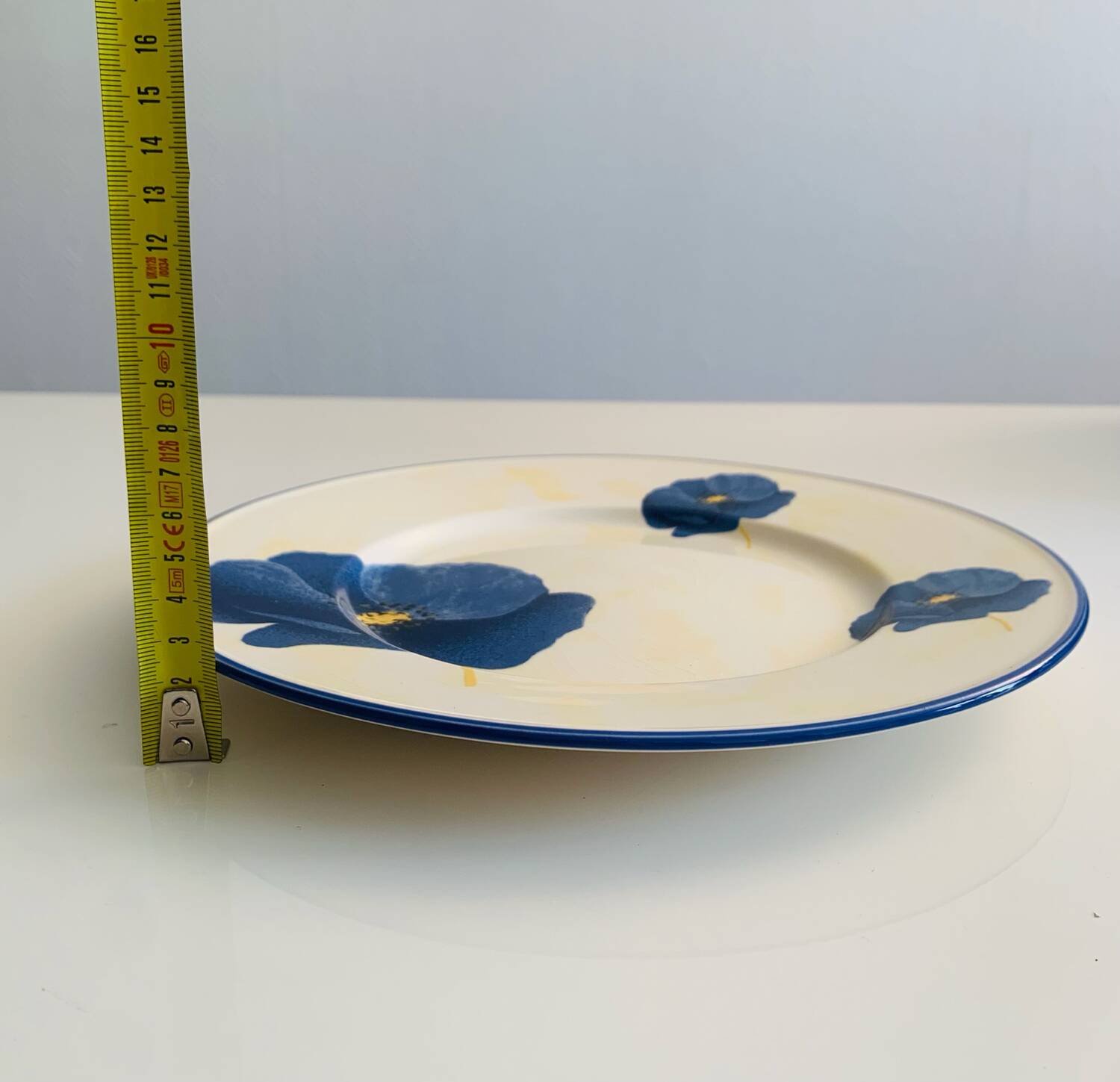 Lot de 10 assiettes plates en faïence de Lunéville