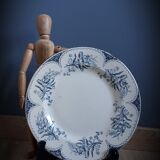 Lille Luneville olate