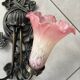 Apply 2 pink tulip Art Nouveau wall lights.