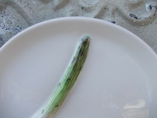 Trompe l'oeil plate Paulette Quinson Vallauris