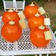 Set of 5 orange glass ball pendants from the 70s