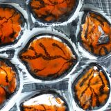 Hand-painted oyster plates - Plates from Pornic, France