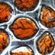 Hand-painted oyster plates - Plates from Pornic, France