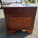 Chinese trunk
