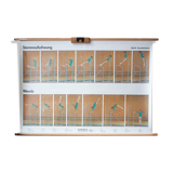 "Sports" published by Paul Sappl Austria 1968 poster