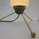 Pair of vintage brass tripod lamps and opaline tulips
