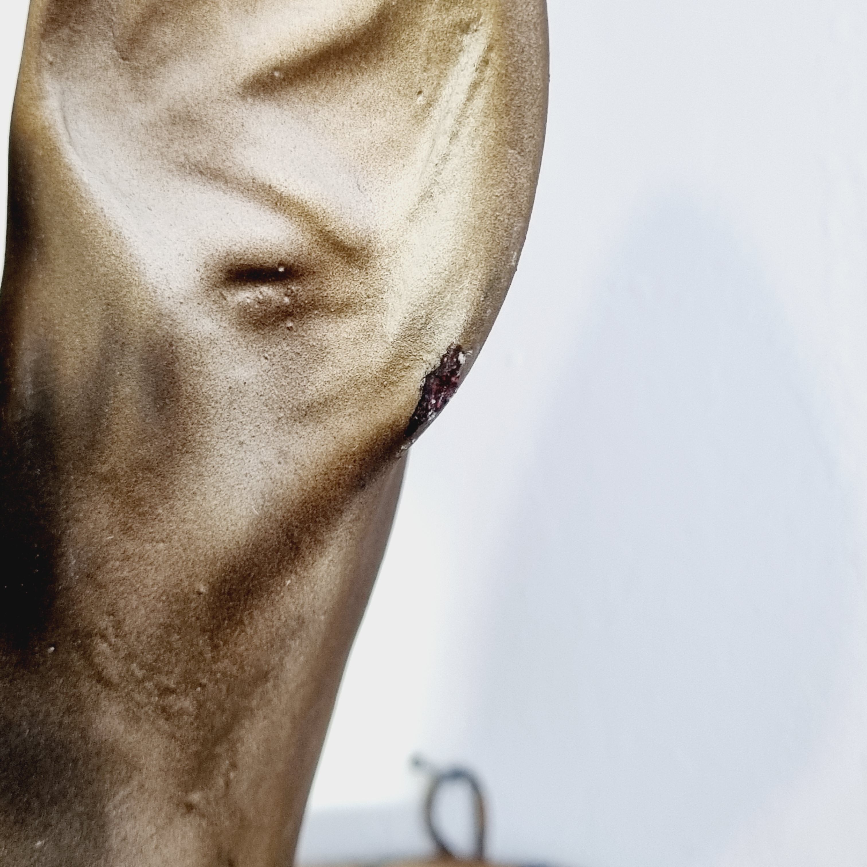 Ceramic deer head trophy