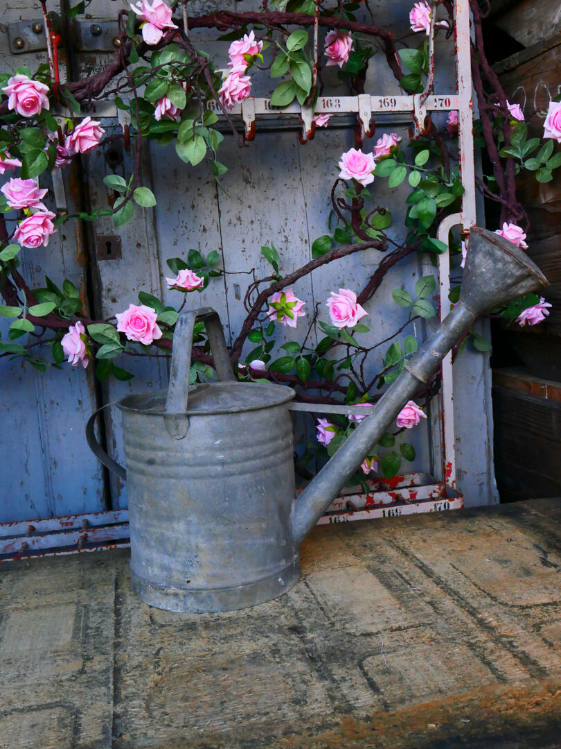 Zinc watering can ref 3
