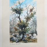 Watercolor painting "On the edge of the forest" signed MR Bouffard - mid 20th century