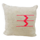 Lot de 2 housses de coussin n°8 et n°48