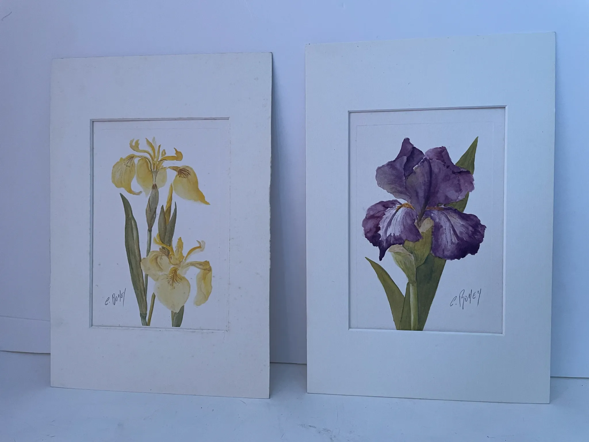 Duo d’aquarelles de Cecil Romey