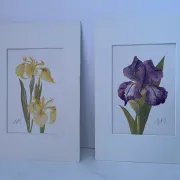 Duo d’aquarelles de Cecil Romey