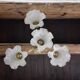Empire bronze chandelier with 4 lights in glass tulips