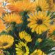 Tableau de Viollet F. "Bouquet de fleurs jaunes"
