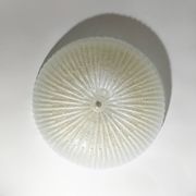 Large Murano glass ceiling light, 1990s