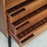 Office Secretary by Frantisek Mezulanik for Up Zavody 1960