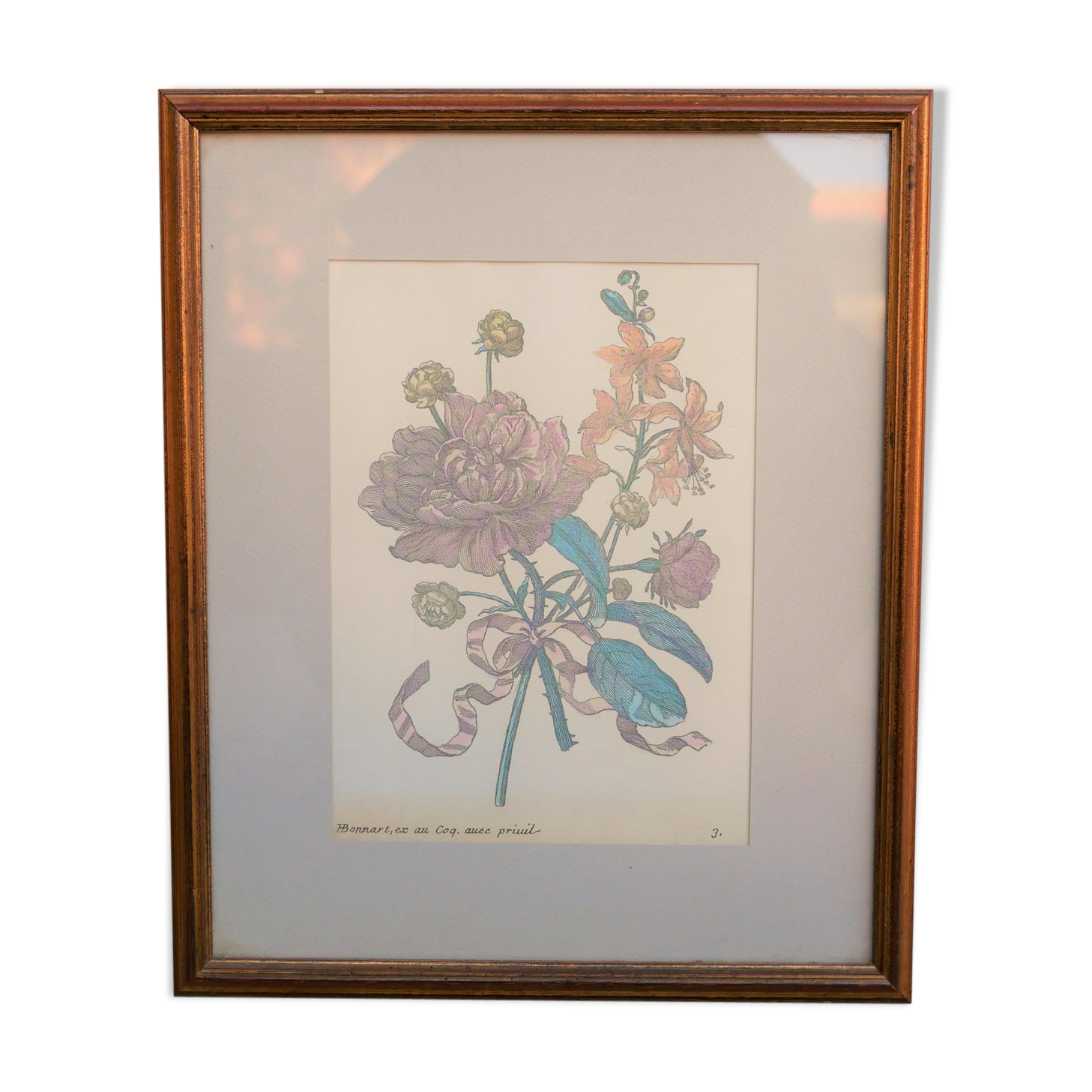 Vintage botanical poster