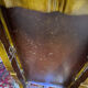 Chinese, Asian wooden coffee table nature peacock scene
