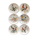 Collection of 6 small bird décor plates