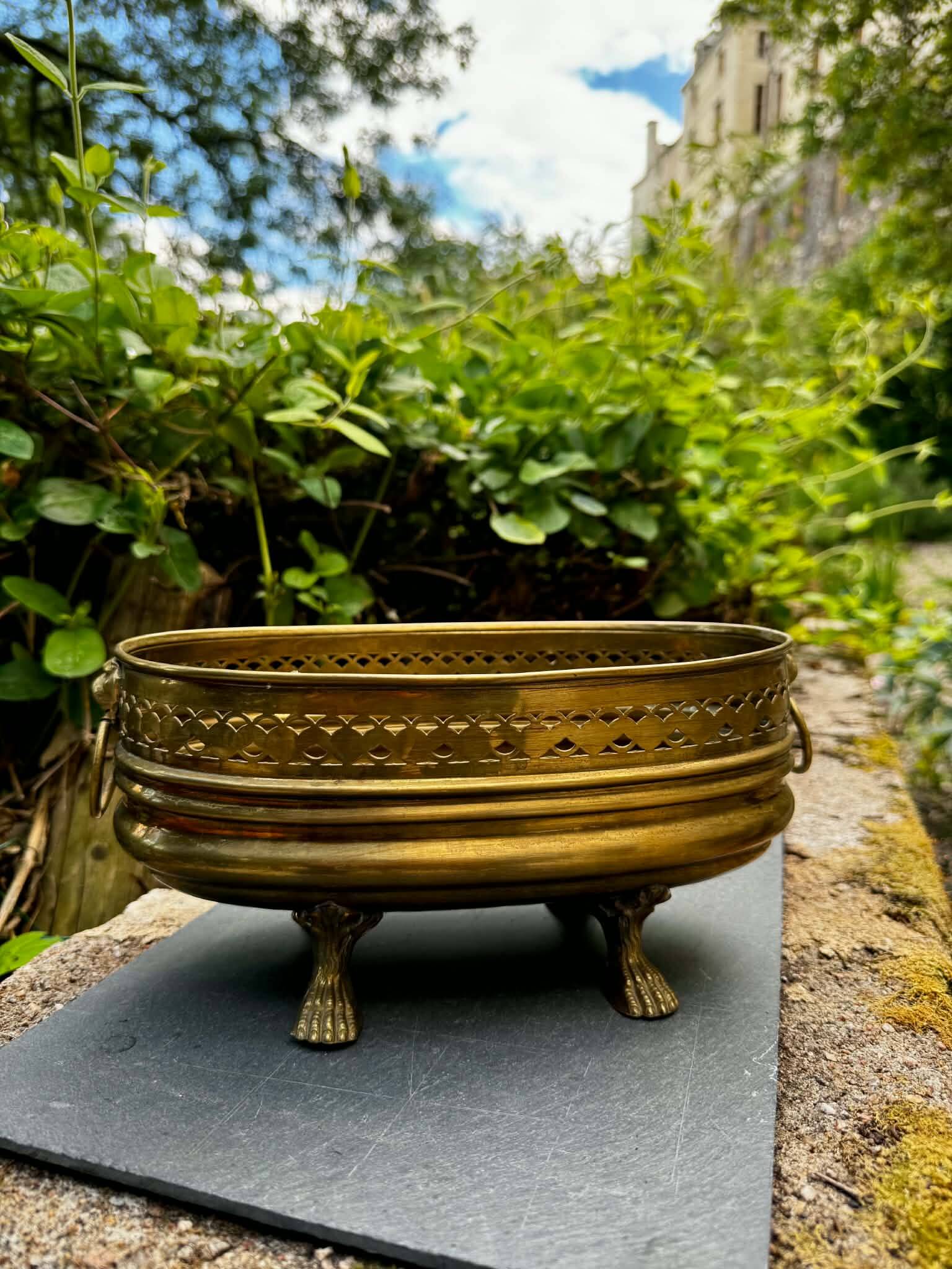 Baroque lion brass planter