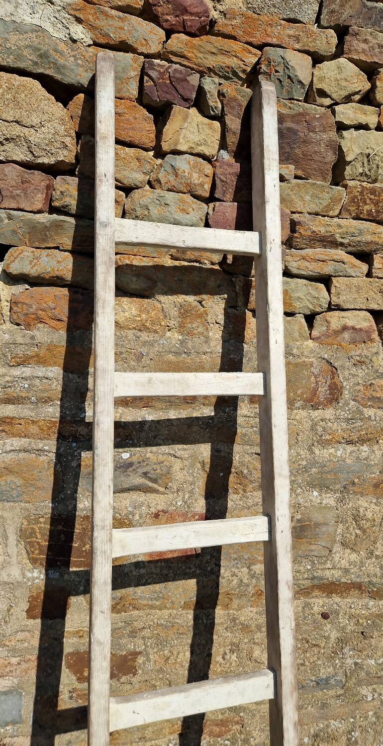 Wooden ladder
