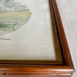 Watercolor of Honfleur
