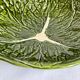 Salad bowl slurry Costa Pereira Portugal cabbage leaves
