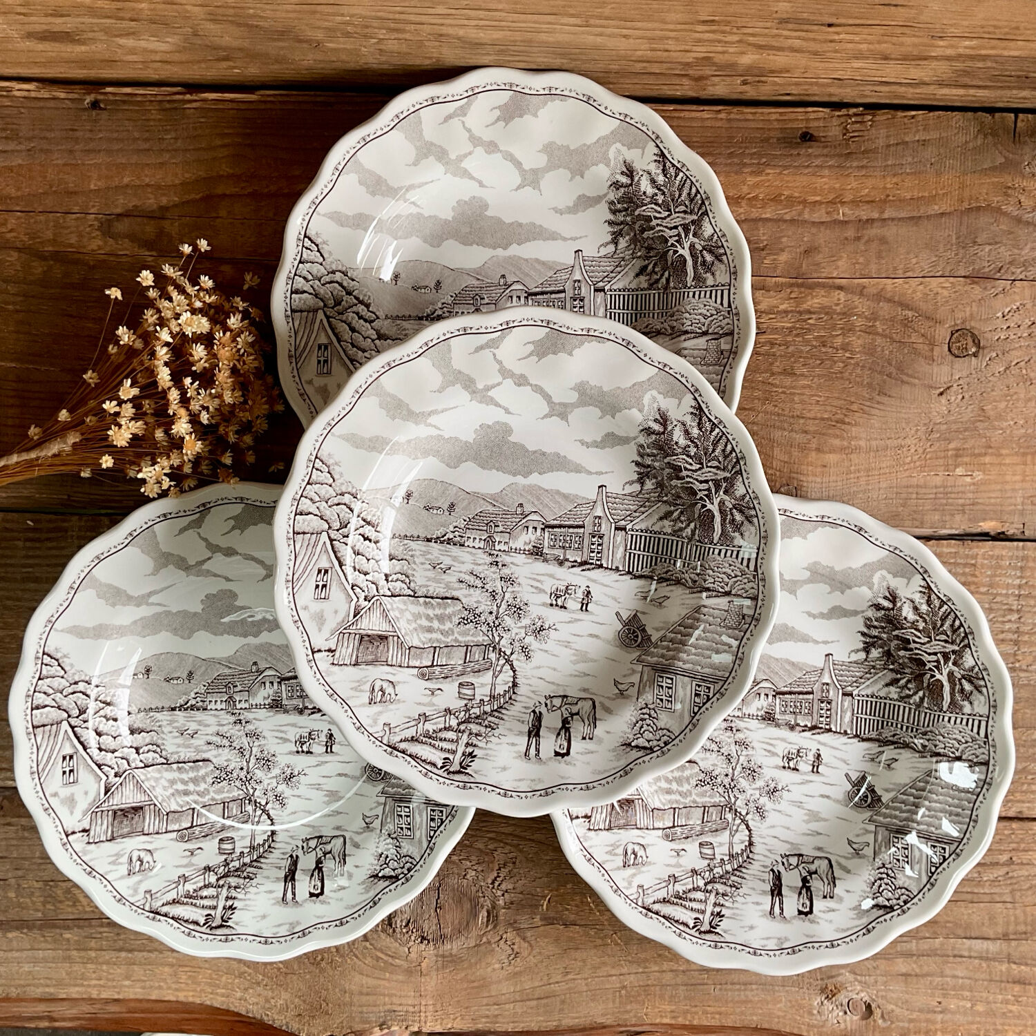 4 deep plates N Fontabesso Italy