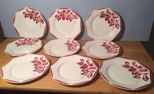 Set of 9 dinner plates Saarguemines