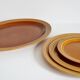 Dish