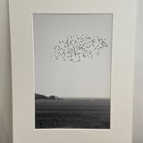 The flight
