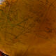 Columbus globe. Edited by Oberrealsch uldirektor Dr. R. Neuse.