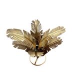 Bronze fern