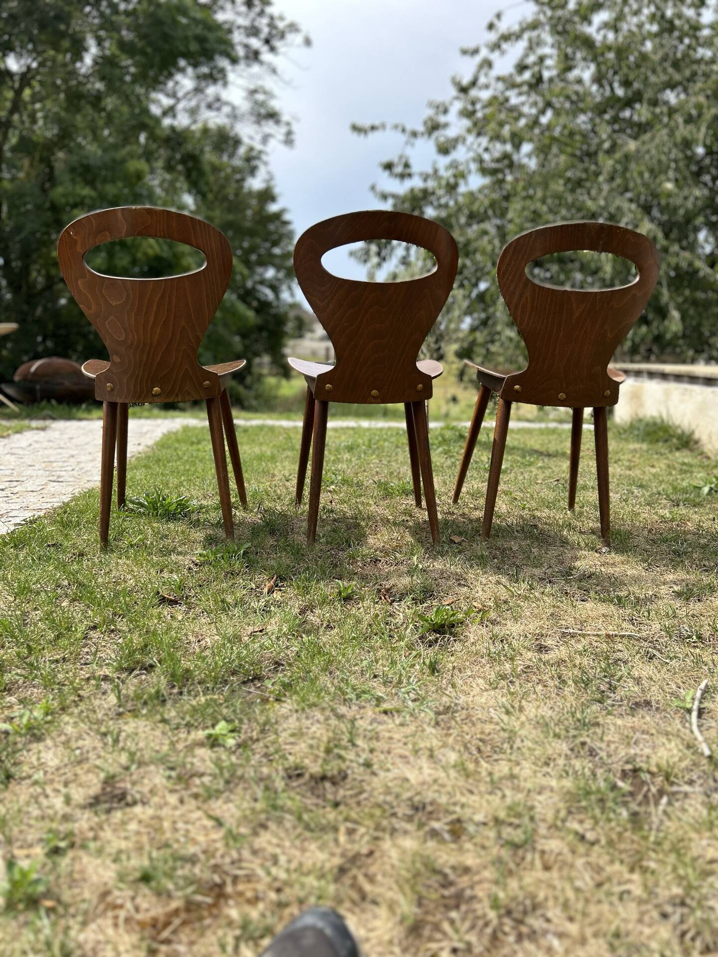Baumann chair model Ants