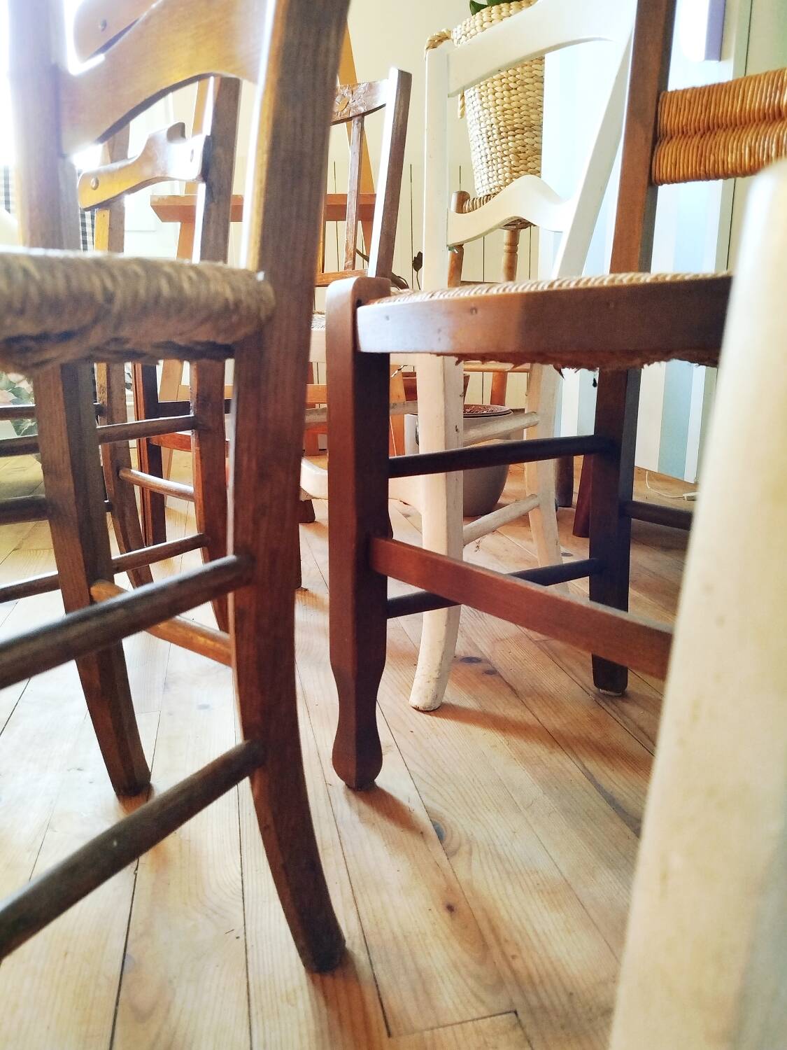 Set of 6 antique chairs