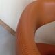 Antonio Citerio leather lounge chair Vitra
