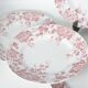 Assiettes plates terre de fer St Amand & hamage