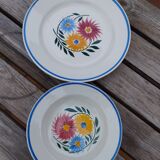 Flat lot and 6 rustic hand-painted hollow plates Digoin Sarreguemines