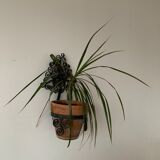 Old wall plant door