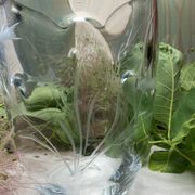Pinched crystal vase engraved with vintage marine motifs