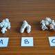 Lot de 3 morceaux de coraux