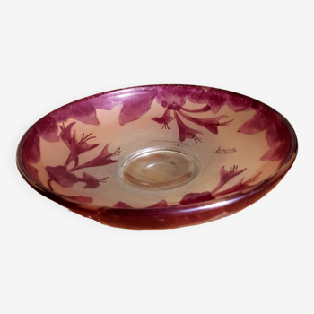Coupe legras ruby series