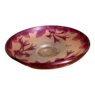 Coupe legras ruby series