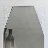 Mirror door 167x64cm