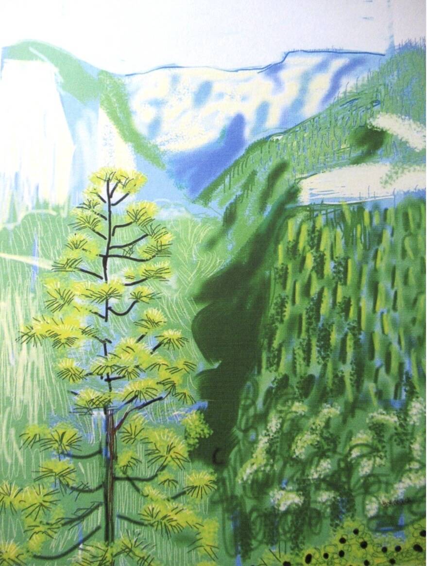 Lithographie de David Hockney signée et numérotée