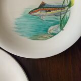 12 fish plates Proceram Cerel Aubagne, 1950s