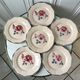 Set of 6 flat plates Digoin Sarreguemines pink and blue flowers 40s