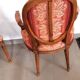 Pair of Louis XVI style cabriolet armchairs with medallion