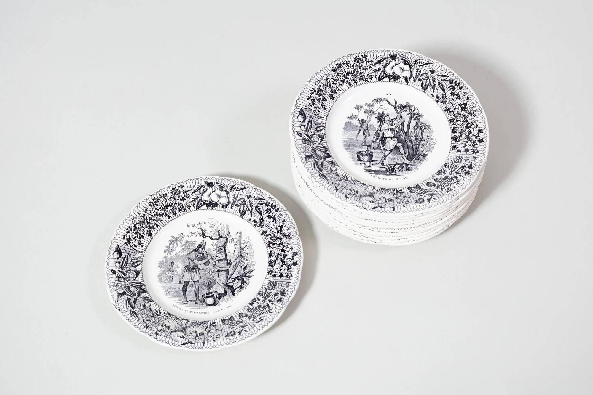 12 x earthenware plates from Creil and Montereau on the theme of harvest.