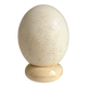 Ostrich Egg on Base No. 3